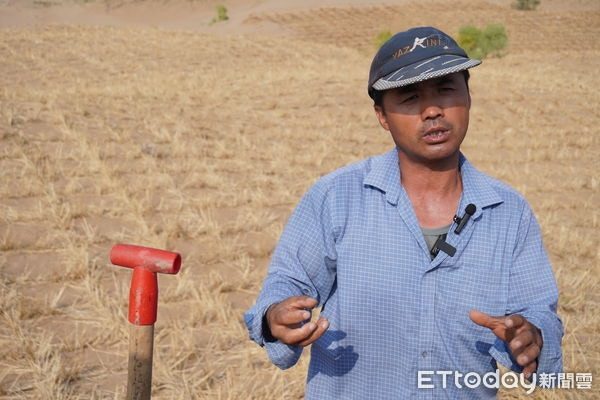 新疆塔克拉玛干沙漠惊现古河道 500米深竟藏淡水 颠覆传统认知 9 在大陸寧夏,過度放牧是導致土地沙化的主因之一,當地民眾和政府上世紀起便致力於治沙,將一片不毛之地變成塞上綠洲,將沙漠向後推了20多公里。(ETtoday授權使用)