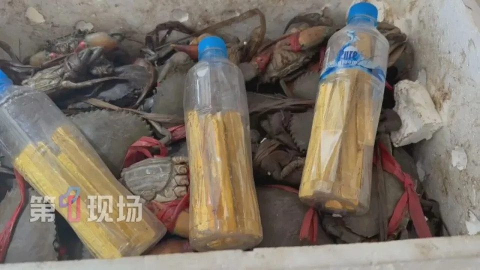 深圳湾口岸查获活青蟹藏金条 共19条重9.681千克 4 近日,深圳灣海關在貨運進口渠道查獲未申報黃金9.681千克。(第一現場)