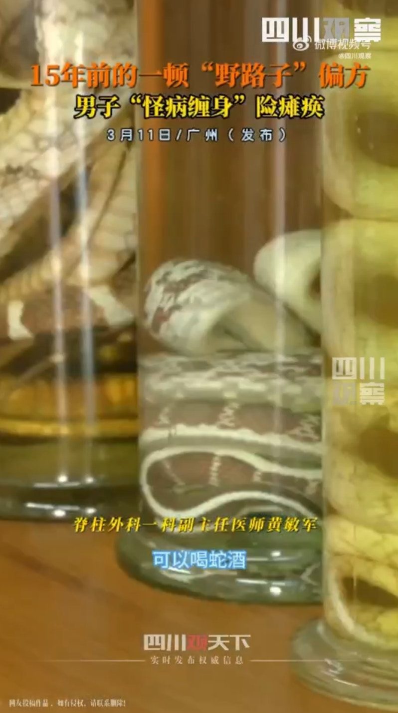 廣州一名55歲的郭先生今年2月開始需仰賴輪椅行動，小便需導尿，在此之前已有頭暈嘔吐的症狀。經醫生診斷，因郭先生15年前聽信偏方「吞蛇膽、喝蛇藥酒」，導致脊髓被「曼氏裂頭絛蟲」感染，甚至差點癱瘓。（微博＠四川觀察）