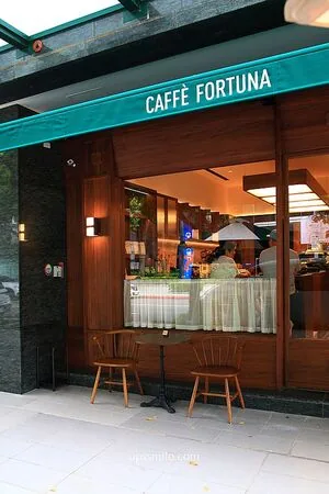 ▲▼Caffè Fortuna走木質調風格，也是寵物友善咖啡廳。（圖／《UPSSMILE向上的微笑萍子》授權提供）