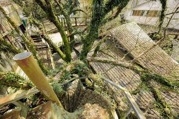 ▲▼屏東霧台神山部落、魯凱族石板屋聚落與在地景點美食一日遊。（圖／《黑皮的旅遊筆記》授權提供）
