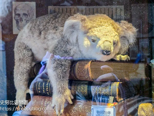▲▼台南仰角舶物的動物標本博物館。（圖／《史努比遊樂園》授權提供）