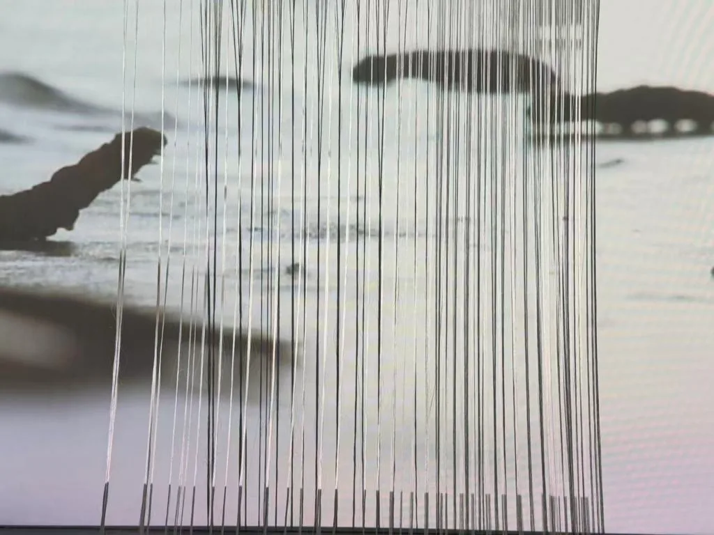 上海多伦现代美术馆“将死亡带回生活”展 讨论如何面对死亡 2 0bb4b9f131775ff04353bbbf0676e8d8b8633a1ae9b69e0e0ff011878df9a2ef article