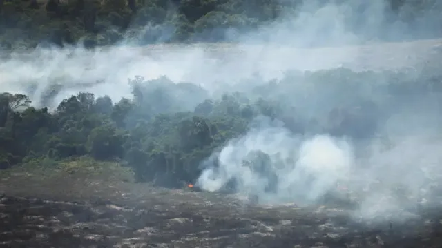 视野开阔，可以看到森林边缘烟雾缭绕，笼罩着刚清理过、已被烧焦的土地，树木附近仍有零星火点在燃烧。远处是茂密的绿色植被，而灰白色的烟雾则笼罩着大部分地区，显示土地或森林仍在燃烧。