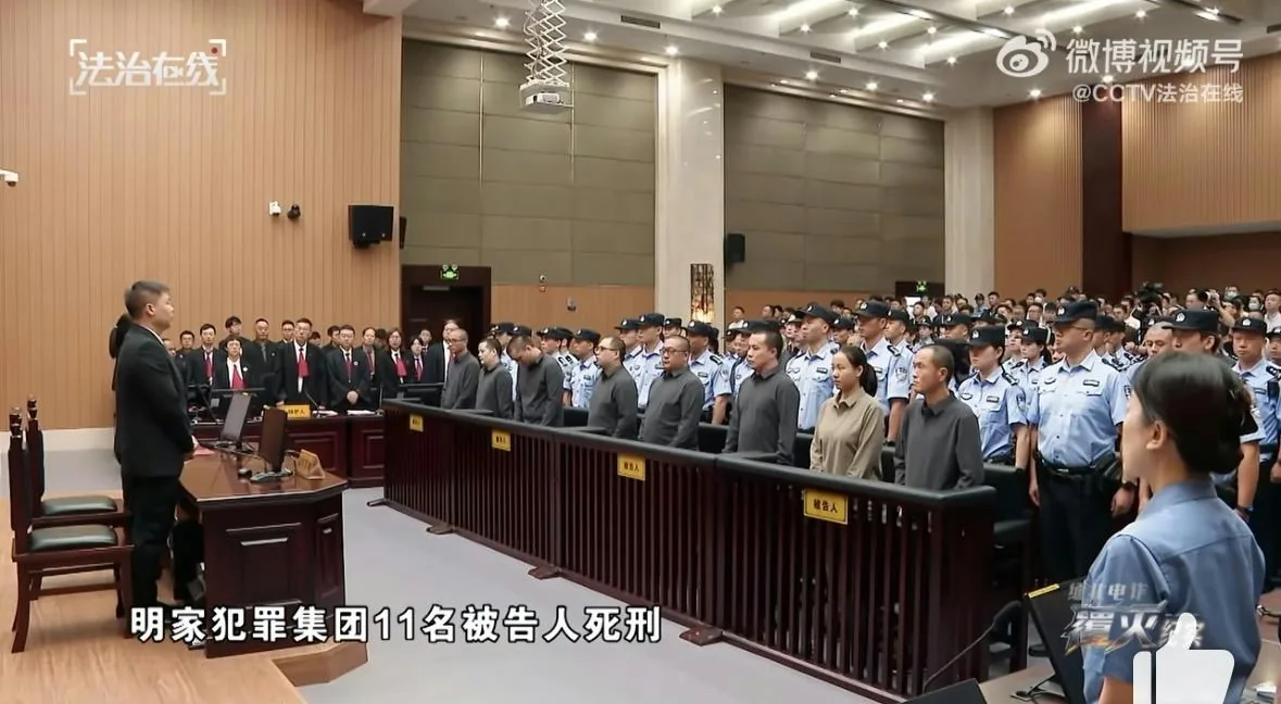 央视揭缅北明家电诈集团虐杀16人 浙江警方跨国仅寻回5尸1骨灰 4 法庭最終判處明國平、明珍珍等11名被告人死刑、5名被告人死緩。(央視新聞)