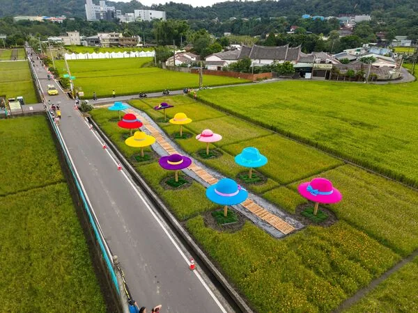 桃园花彩节11/14登场 李翊君等歌手开唱、免费接驳车先看 2 ▲▼桃園花彩節。(圖/翻攝自Facebook/桃園花彩節)