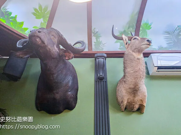 ▲▼台南仰角舶物的動物標本博物館。（圖／《史努比遊樂園》授權提供）