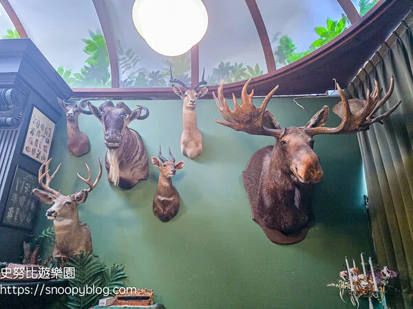 ▲▼台南仰角舶物的動物標本博物館。（圖／《史努比遊樂園》授權提供）