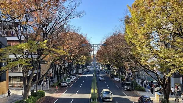 ▲▼東京表參道、代官山、中目黑等十個寶藏街區的散步日常。（圖／《CJ夫人》授權提供）
