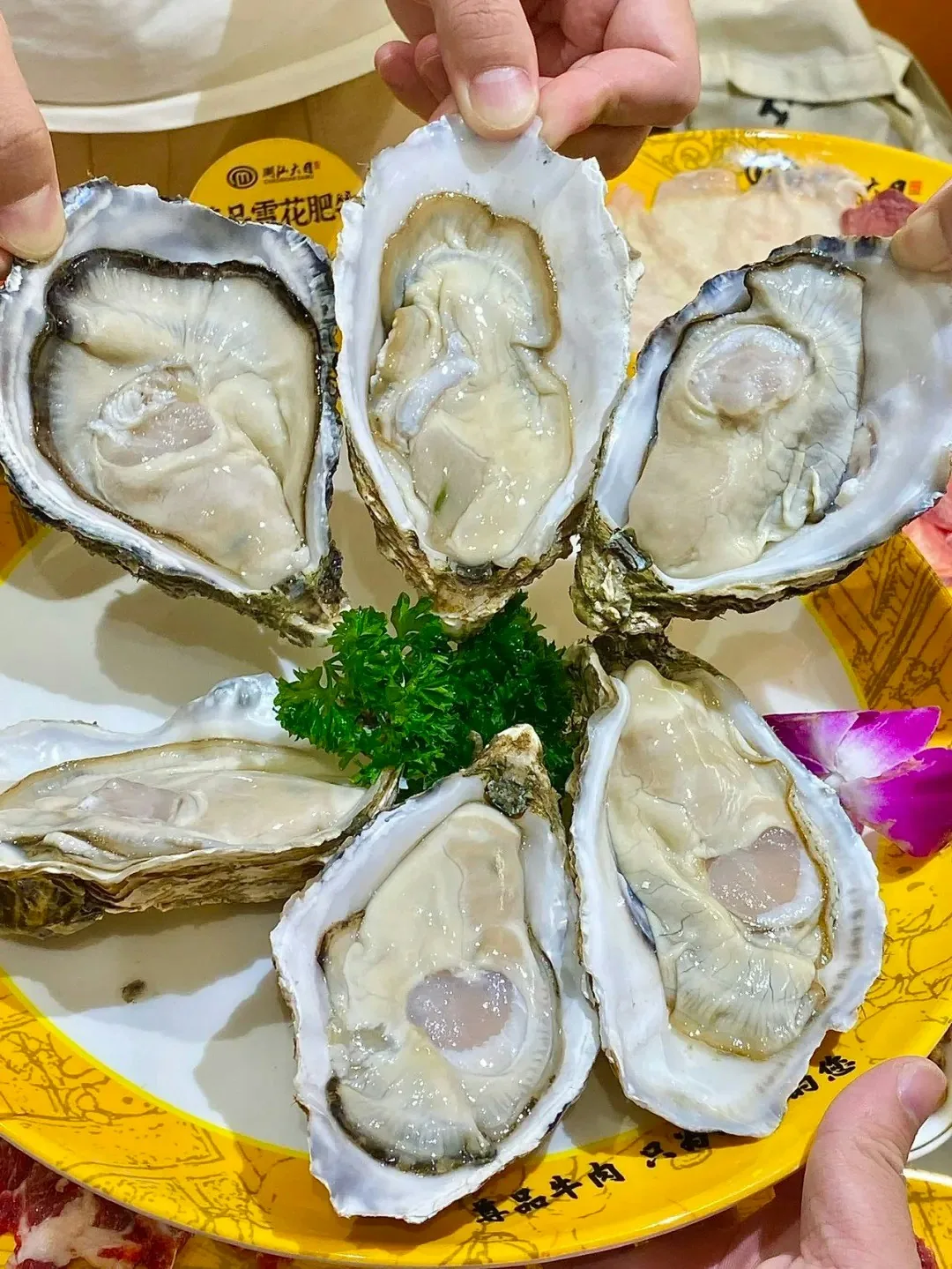 皇岗口岸美食10大推介|水围夜市/牛肉火锅/秘制鸡煲/潮汕海鲜面 4 潮汕大目牛肉火鍋(小紅書@小紅薯5DCFB7B1)