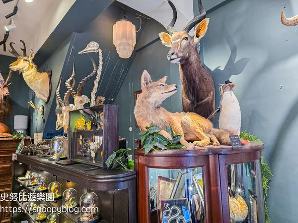 ▲▼台南仰角舶物的動物標本博物館。（圖／《史努比遊樂園》授權提供）