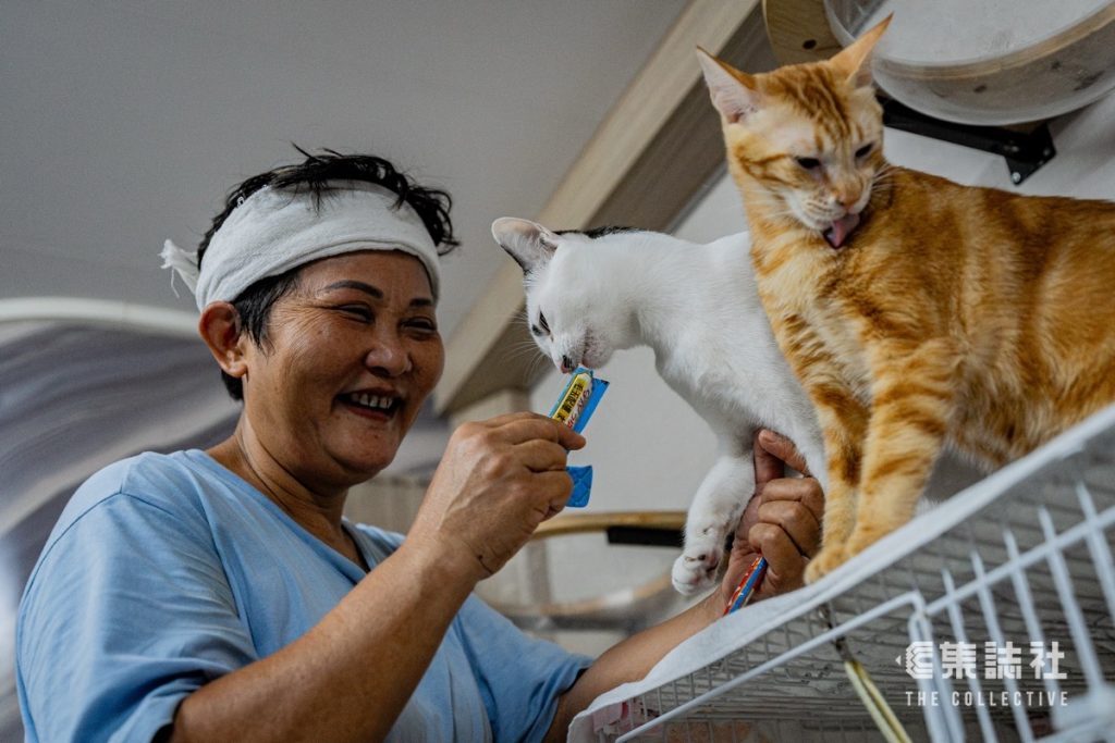 史上最热|洒水倒冰 长开冷气 守护流浪猫狗免中暑 「傻妈」Annie:帮得一只都觉功德圆满 5 1bc6bde614b00fdb78d56d6f80a1f189c949193d7293c69af86fe3823b166c1b article