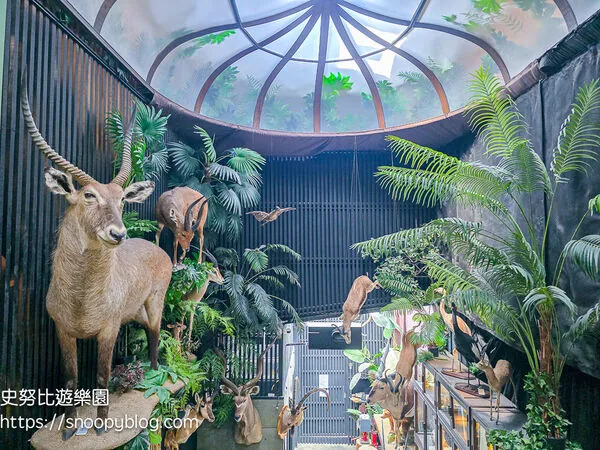 ▲▼台南仰角舶物的動物標本博物館。（圖／《史努比遊樂園》授權提供）