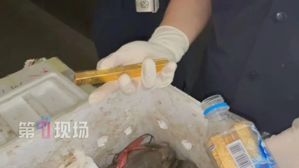 深圳湾口岸查获活青蟹藏金条 共19条重9.681千克 3 近日,深圳灣海關在貨運進口渠道查獲未申報黃金9.681千克。(第一現場)