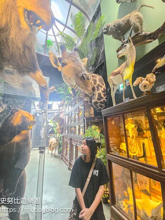 ▲▼台南仰角舶物的動物標本博物館。（圖／《史努比遊樂園》授權提供）
