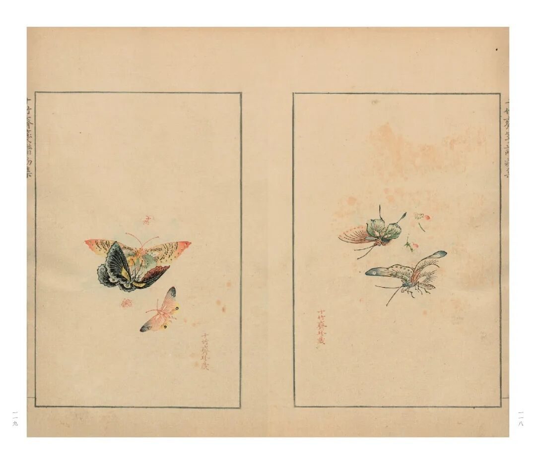 十竹斋笺谱等珍稀古籍影印出版 鲁迅曾盛赞其画刻印三绝 4 26d95b270302c8e170bc78d15baf0f07e790f64e8f6ef369298d0a6a7ab15290 article