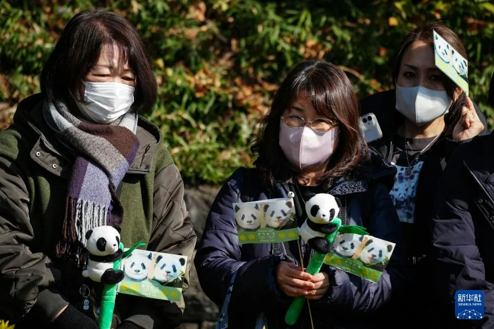 1月27日中午，兩隻大熊貓由卡車運載從東京上野動物園出發，踏上回國之旅。許多當地民眾守候在卡車經過的路旁，手拿熊貓玩偶送別。（新華社）