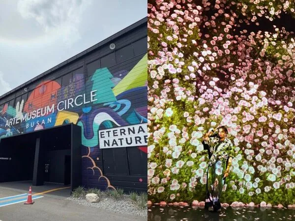 ▲▼釜山三天兩夜行程推薦。（圖／ReadyGo授權提供）
