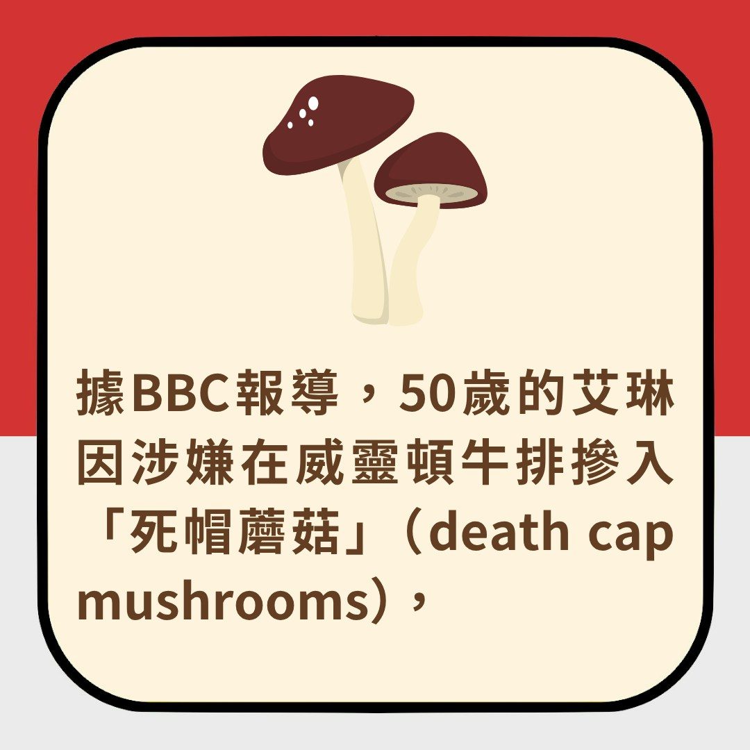 澳婦曾以蘑菇殺老公3次　終以威靈頓牛排毒殺3人　法庭文件更曝驚人細節（01製圖）