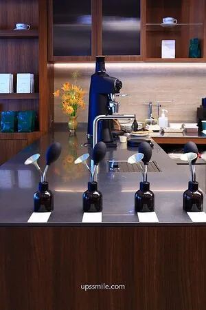 ▲▼Caffè Fortuna走木質調風格，也是寵物友善咖啡廳。（圖／《UPSSMILE向上的微笑萍子》授權提供）