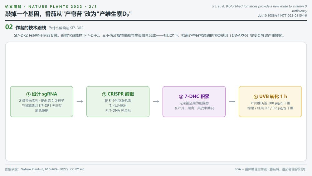 2ab890c00ae03068157c3d325ba37508a860af2735be452416103aa455ec2efe article
