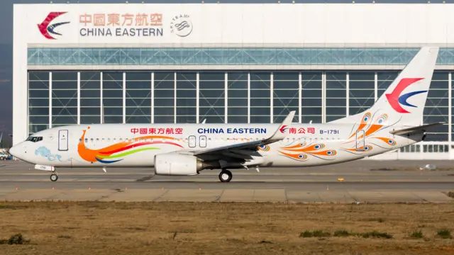 2022年3月21日执行MU5735航班时坠毁的中国东方航空波音737-800客机B-1791（资料图片）