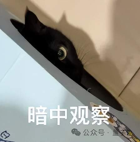 IQuest-Q1模型实测:一句提示词做游戏 还能揪出RL训练空格Bug 2 2e3d0ea7b00843c076371e9168583c0e0b81d79c5639ada16a7d1e6c58db0b8b article