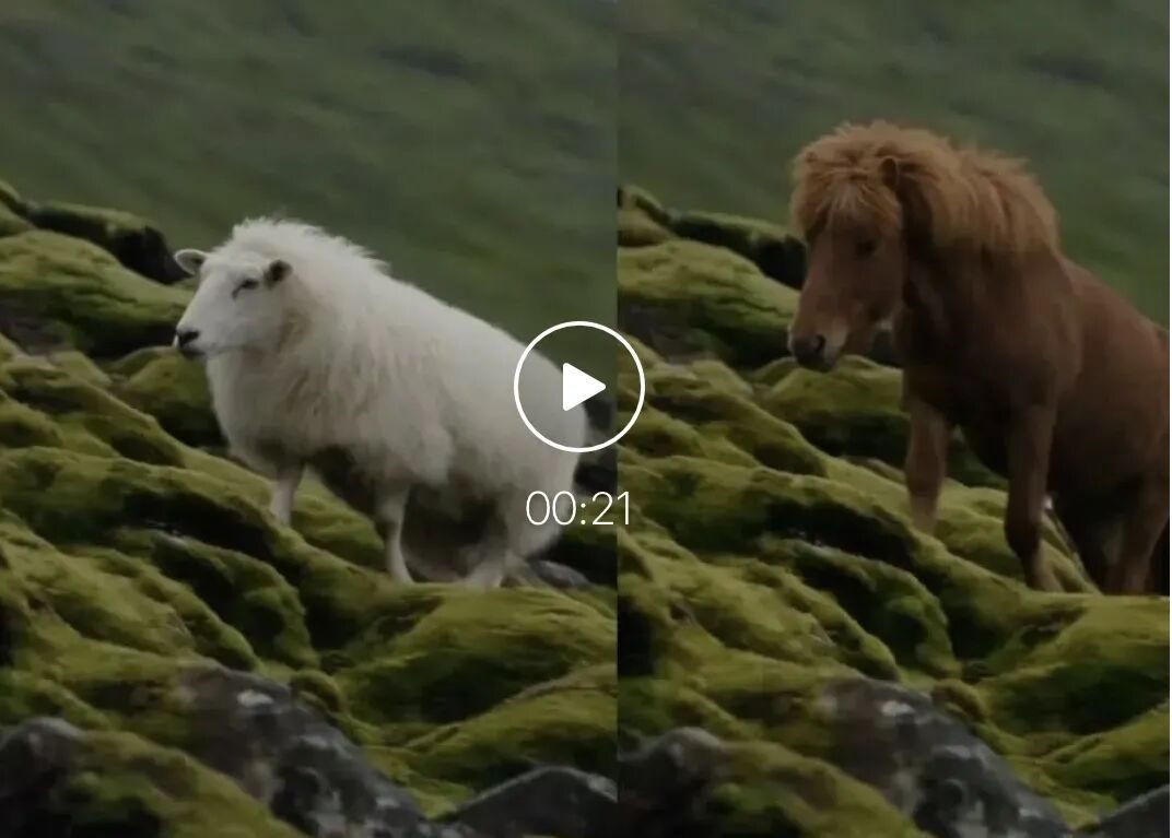 三条路线、一个赛点,谁能在AI视频的万亿牌局中笑到最后? 1 2e9d1221bd2eac6e03a798ad6d59a17eb0bae63bc80414157a6fec2f5254aa14 article