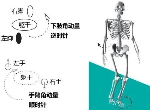 机器人捂脸跑夺冠 人类学这姿势只会更慢 3 2f92d28cec8ddb4ba7c8a683e67907426d74d7040d16412ea69dcf4fc2d82d41 article
