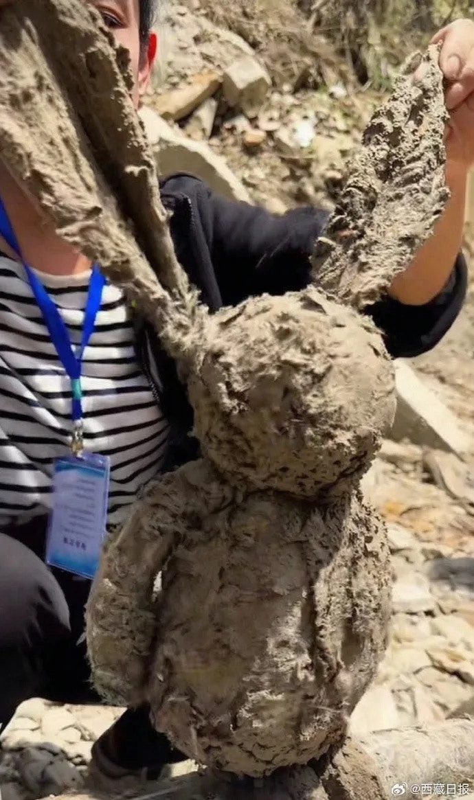 西藏泥石流|救援队一路喊「有没有人」 吉隆口岸夷为平地剩一棵树 4 搜救現場淤泥中遺留兔子玩偶。(西藏日報)
