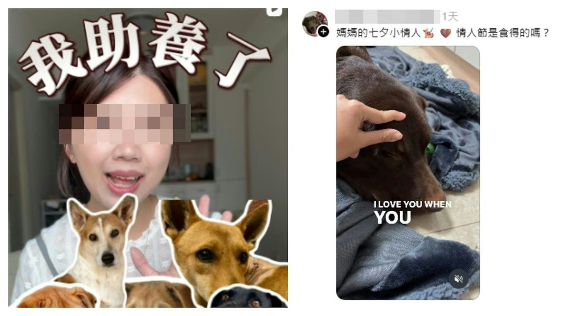 打鼓岭狗咬死人|33岁女身亡登微博热搜第一 网民激辩养犬规管 2 黃姓女死者,洋名Jojo,最後一篇帖文是本周三(19日),分享與\拉布拉多愛犬共度七夕。(Threads 截圖)