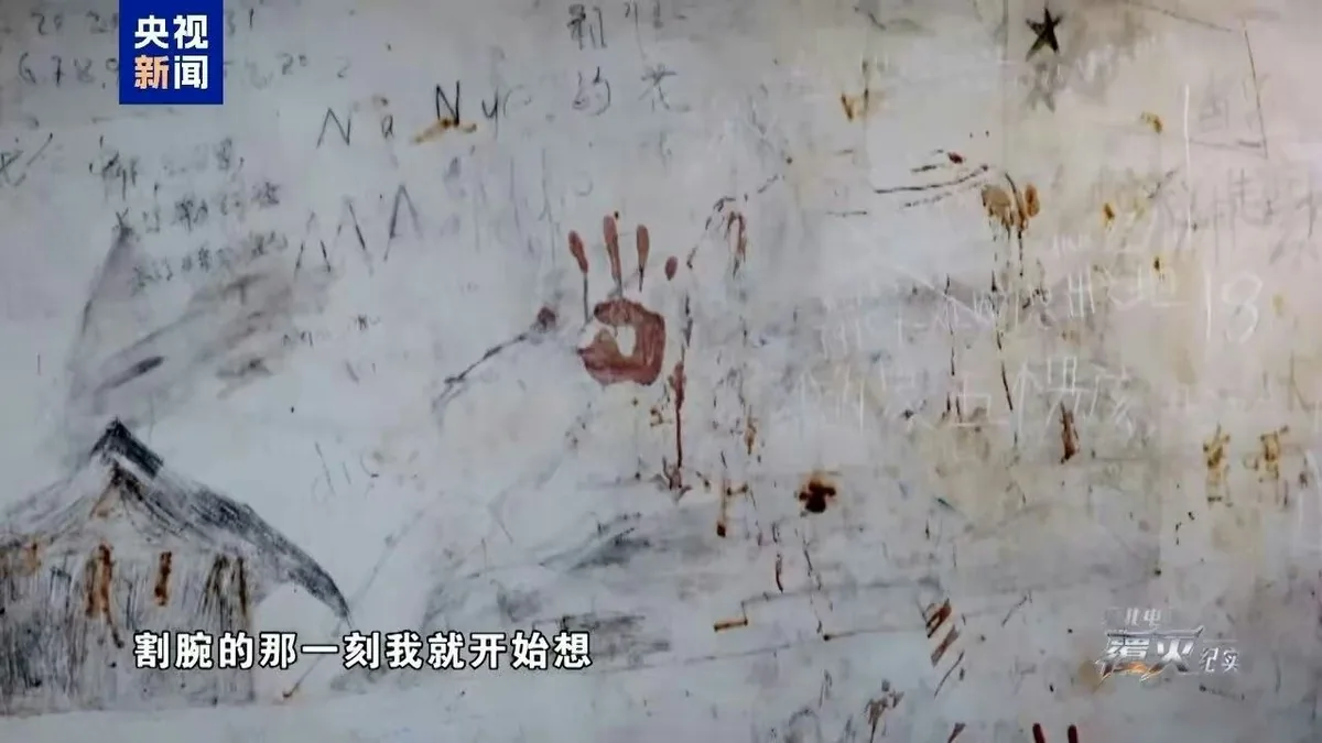 央视纪录片揭缅北猪仔价目表 大学生报价最高约70万 2 豬仔一旦失去利用價值,更可能遭反覆轉賣,甚至面臨器官被摘除的威脅。(央視新聞)