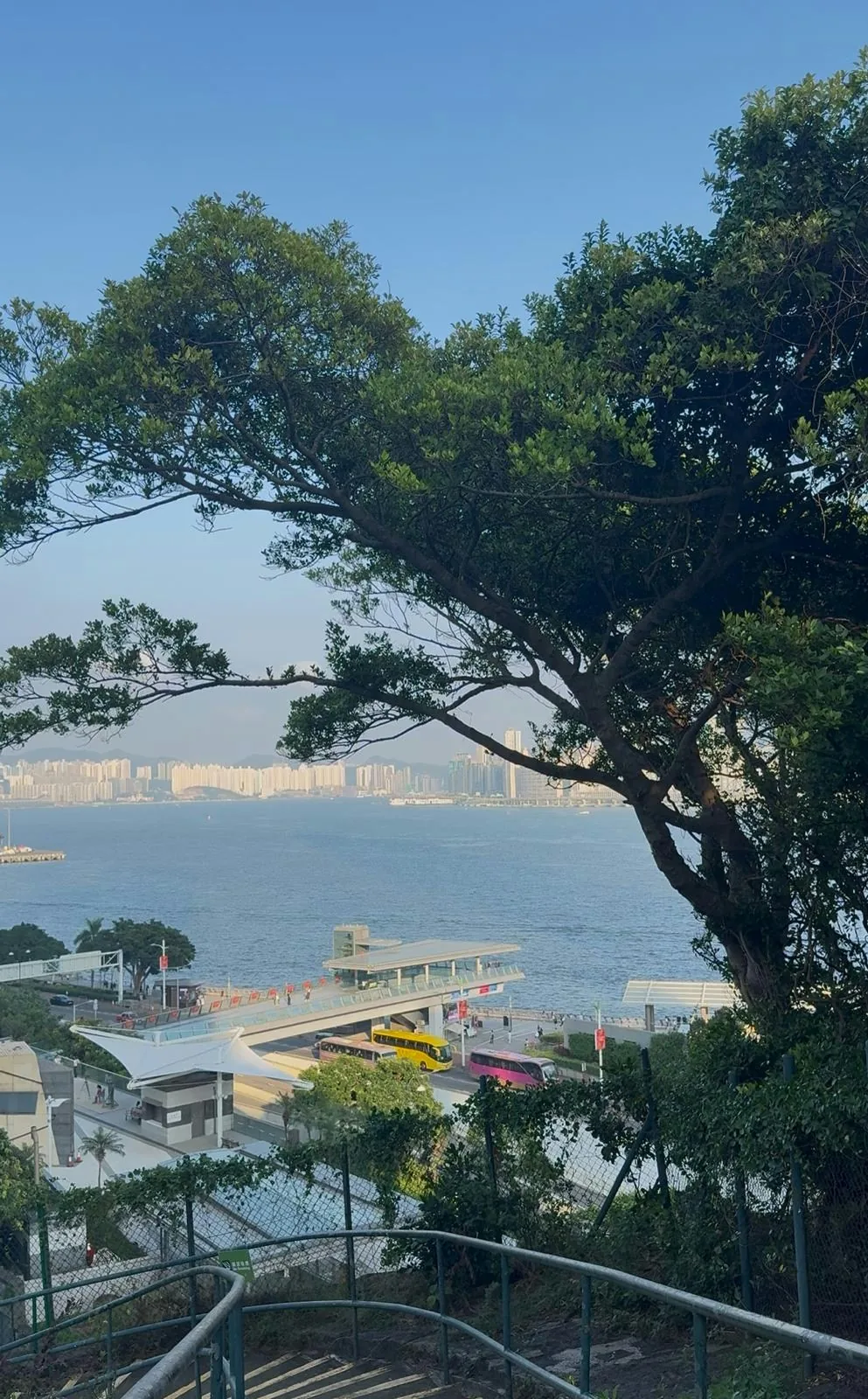訊號山花園海景樓梯打卡位。（蘇琬淇攝）