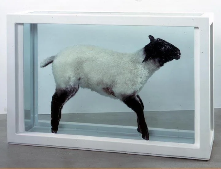 达明安·赫斯特首次在中国大陆办美术馆大展 12月在上海浦东美术馆开展 2 3a3310bf66d6071055422f23ee9ee1ddf107a064dcfa91ff30d32cd30540218a article