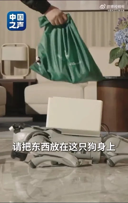 中國第二例侵入式腦機接口臨牀患者張先生，分享手術後生活，僅憑意念，就能操控輪椅在公園散步，亦可指揮機械狗取回外賣。（中國之聲）