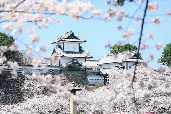 星野集团OMO5金泽片町连住三晚 加贺棒茶茶泡饭、夜沙龙与武士宅邸散步 28 ▲▼金澤OMO5金澤片町住宿與周邊散策。(圖/《Ean部落閣》授權提供)