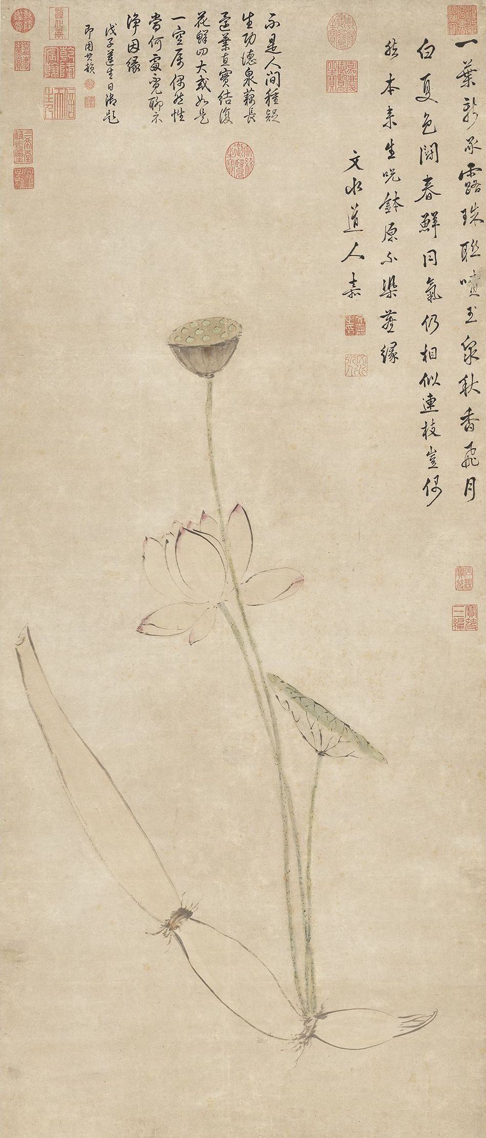 处暑读画:记与那人同坐,纤手剥莲蓬 4 3d911bb828cc2bbeea6956c3ea2c4338aa8f1ad8ecdb80bc10f5b759a8e691ba article