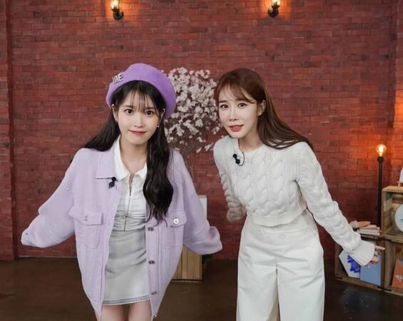 ▲▼IU 劉寅娜。（圖／翻攝自X／heyattidude）