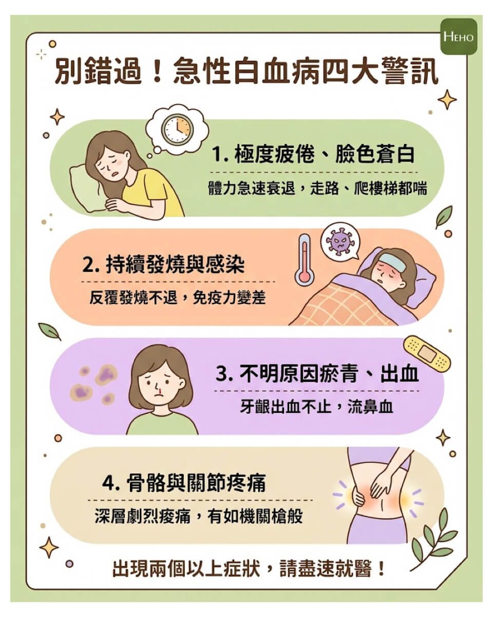 急性白血病 4 大警訊圖解，包含極度疲倦、持續發燒、不明瘀青與骨頭疼痛。