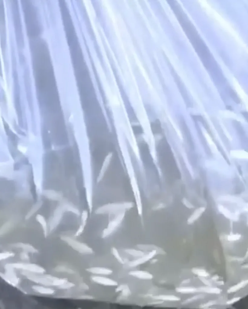 中国是全球最大的养殖海鲜生产国。即使在该国广袤的塔克拉玛干沙漠，养鱼场也随处可见。