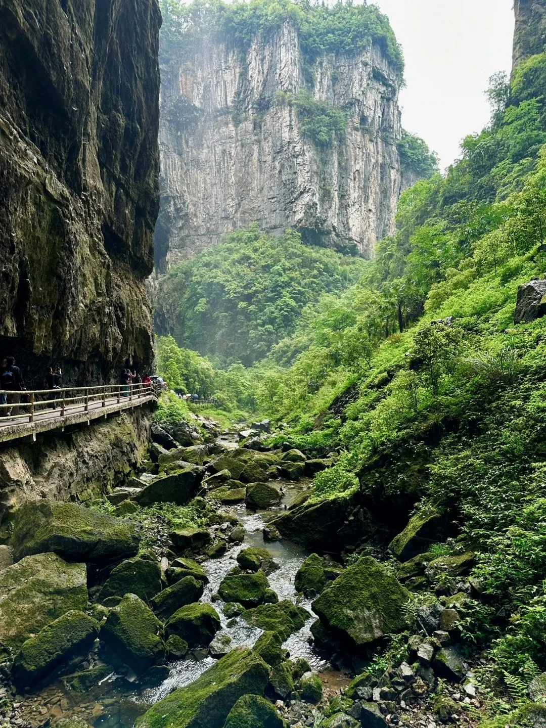 重庆旅游懒人包|5景点洪崖洞、仙女山必访 美食/酒店/交通攻略 4 (小紅書@把沛沛喂成豬)