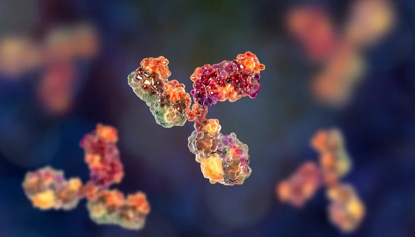 映恩生物乳腺癌ADC三期中期结果不尽如人意,股价当日大跌27.9% 1 4a4f871a1deaa88ed5d94ce7c0829756db26b61c536bbd54af4b4c08b778e503 article