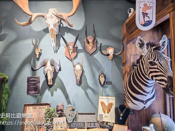 ▲▼台南仰角舶物的動物標本博物館。（圖／《史努比遊樂園》授權提供）