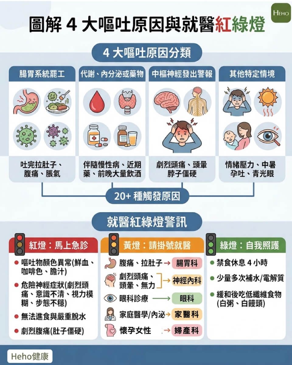 圖解4大嘔吐原因與就醫紅綠燈