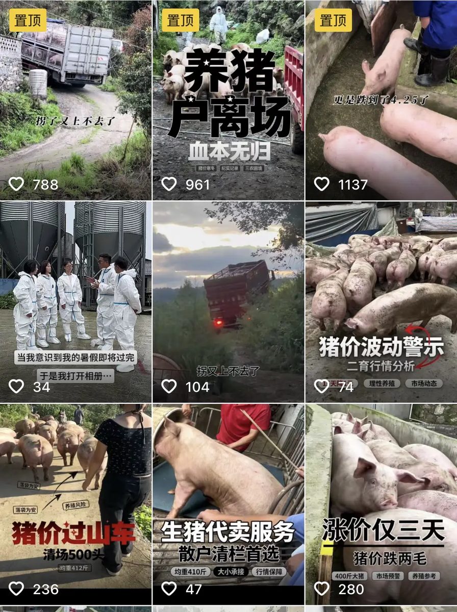 微信图片_2026-08-31_185559_926.jpg