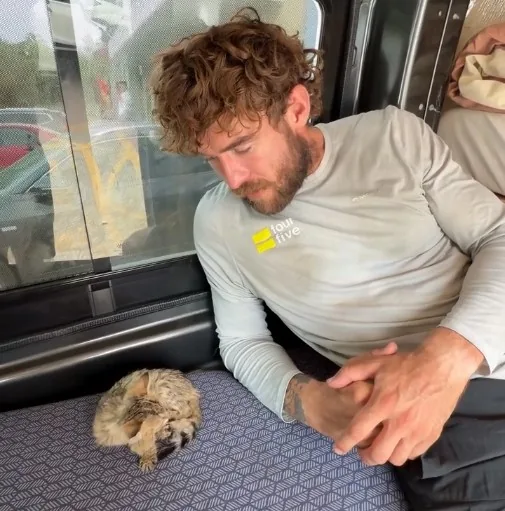 英國跑者傑克在新疆戈壁救起一隻小貓咪。（Instagram@jackjarvisfit）