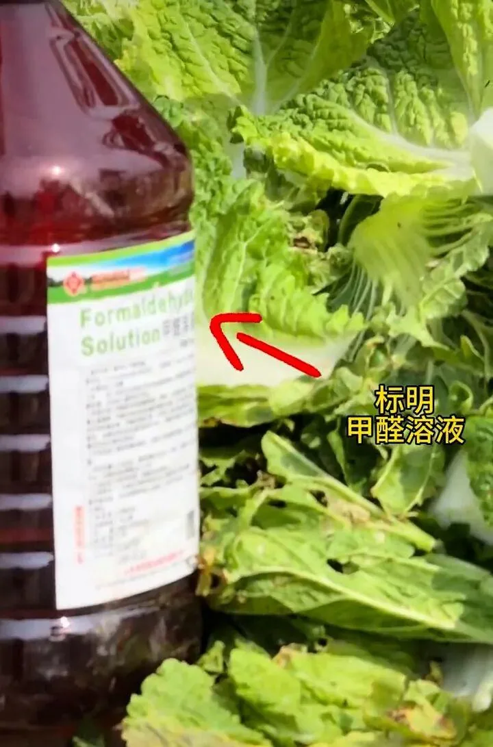 一瓶标签写着“甲醛溶液”的液体放在大白菜旁