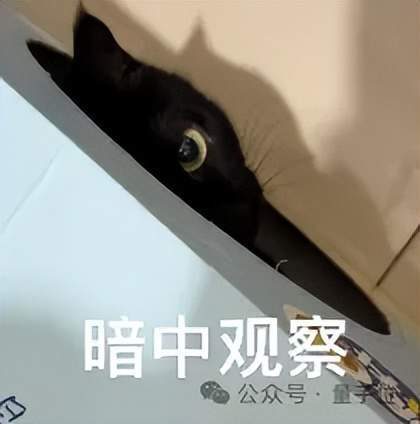 阿里11个月前论文解密GPT-6循环Transformer摸鱼真相 11 529da1dcd6ae2d9784f17f9198abe44180c093aec8d5b262352416523274e721 article