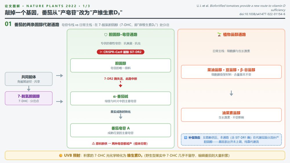 5549610b5664b24f919089c81b85eabea3267d191bcf1e657dcc0215d93de7d9 article