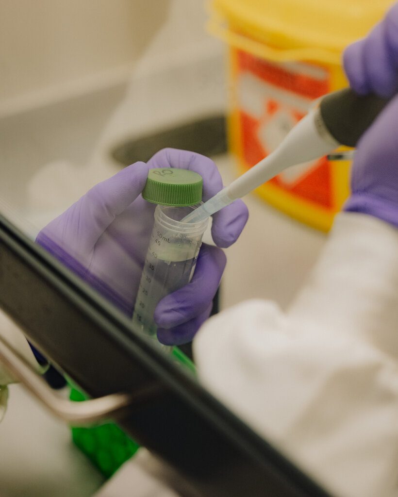在C3 Biotech的实验室抽取样品。
